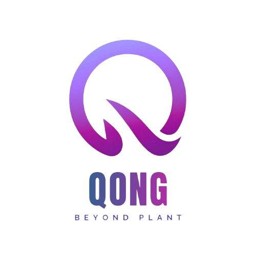 Qong